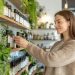 Green Entrepreneurship: Building a Sustainable Product Business